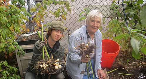 Garlington Garden Community Event!