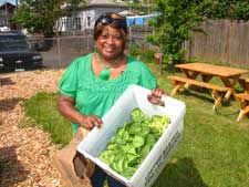 Clinic and Volunteer Coordinator, Sharetta Butcher, picking lettuce